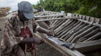 In Leogane, Haiti, a boat-maker sharpens his machete. The 30-foot-long boats are purchased by smugglers for around $12,000 and then taken to northern Haiti to find passengers. Dieu Nalio Chery/AP