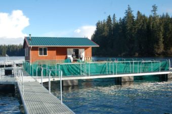 The Gunnuk Creek hatchery remote rearing site. (Photo courtesy Gunnuk Creek Hatchery website)