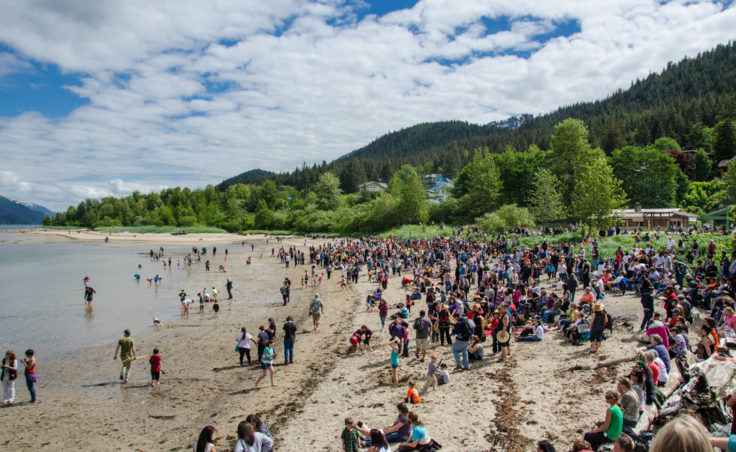 Canoes arrive at Sandy Beach just in time for Celebration.(Photo by Heather Bryant/KTOO)