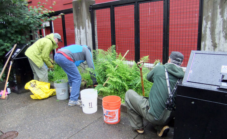 Volunteers pull weeds from green areas. (Photo by Rosemarie Alexander)
