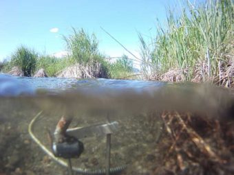 The Steep Creek salmon cam. (Photo courtesy U.S. Forest Service)