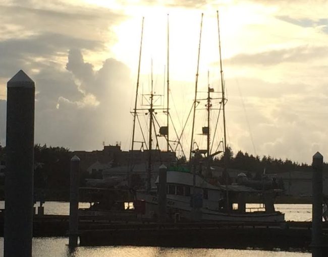 Trollers in Sitka’s ANB Harbor. The annual troll closure starts at midnight on Saturday. (Photo byRachel Waldholz/KCAW))