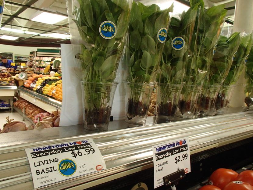 Juneau entrepreneurs bring basil to the masses