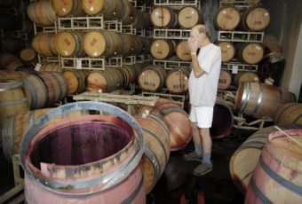 Winemaker Tom Montgomery stands in wine and reacts to seeing damage following an earthquake at the B.R. Cohn Winery barrel storage facility on Sunday in Napa Valley. Eric Risberg/AP