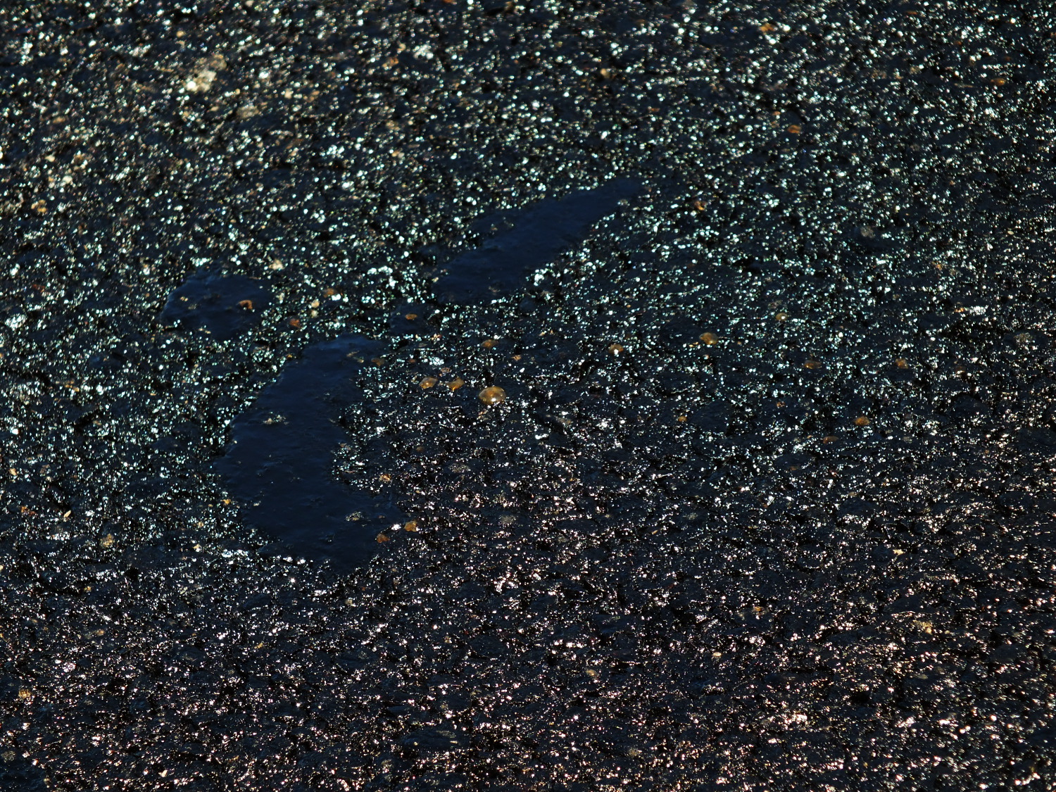 New asphalt for North Douglas Highway. (Photo by Matt Miller/KTOO)