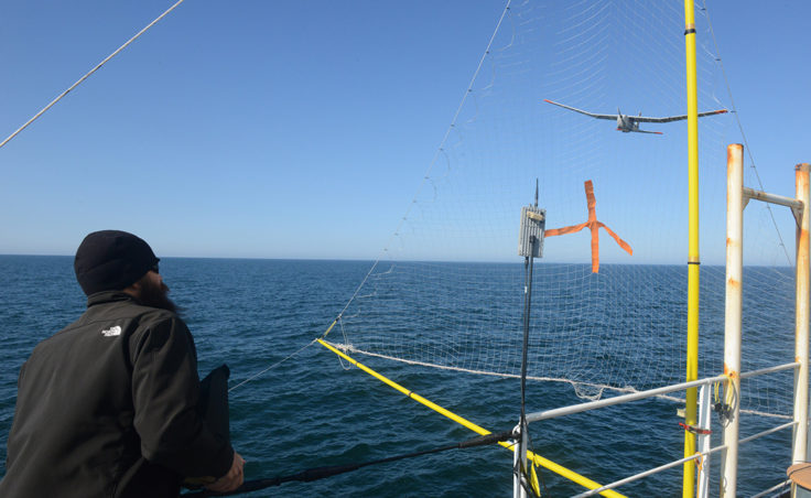 Chris Thompson, an Unmanned Aircraft System operator for AeroVironment, directs a Puma All Environment UAS into a net mounted to the Coast Guard Cutter Healy during an exercise in the Arctic Aug. 23, 2014. Researchers from the Coast Guard Research and Development Center, based in the New London, Conn., and the National Oceanic and Atmospheric Administration deployed the UAS to test its capabilities in the Arctic. (Coast Guard photo by Petty Officer 1st Class Shawn Eggert)