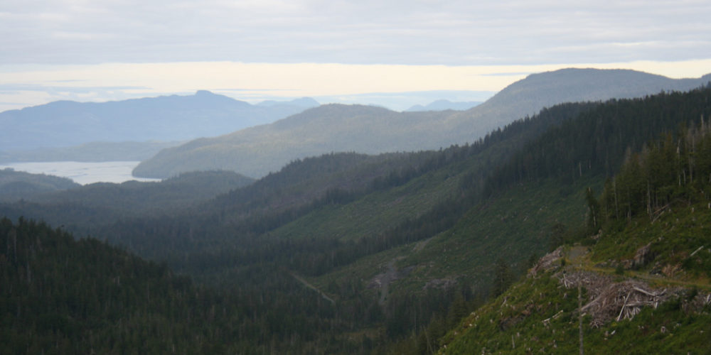 Clearcuts and old-growth forests are part of the view of Indian Valley on Prince of Wales Island.