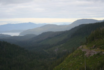 Clearcuts and old-growth forests are part of the view of Indian Valley on Prince of Wales Island.