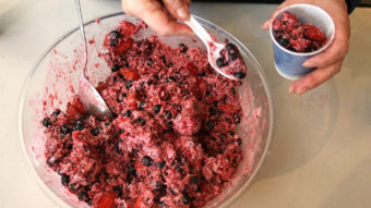 Akutaq or agutak -- also known as Eskimo ice cream -- is a favorite dessert in western Alaska. It's made with berries and frothed with fat, like Crisco.
