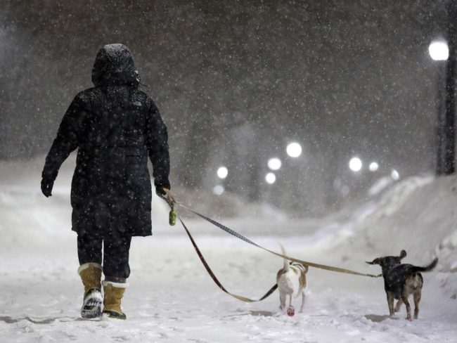 A woman walks with two dogs as snow falls on Boston Common in Boston, on Saturday. Michael Dwyer/AP