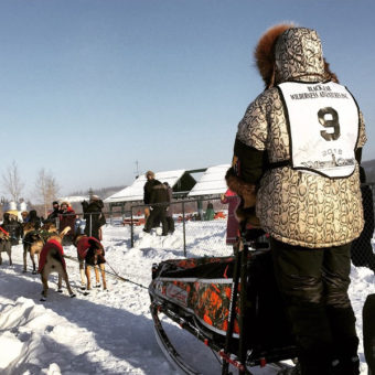 Denali Park musher Jeff King competes in the 2015 Yukon Quest. (Photo by Emily Schwing, KUAC – Fairbanks)