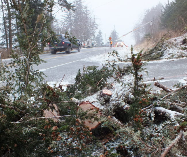 Crews  from ACS and GCI work to restore service to Thane customers on Friday morning after a fallen tree knocked out electrical and internet lines on Thursday. (Photo by Matt Miller/KTOO)