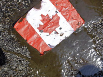 A placard with the Canadian flag rests on the ground covered in oil as demonstrators protest against the Keystone XL Pipeline and the Alberta tar sands. (Nam Y. Huh/AP)