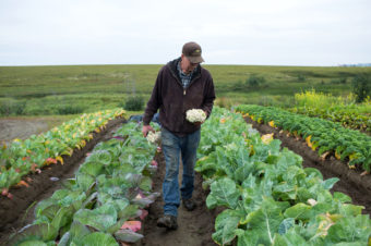 Tim Meyers on his four-acre vegetable farm in southwestern Alaska. Behind him: an endless sea of tundra, and a glimpse of the town of Bethel (Photo by Eugenie Frerichs for NPR)