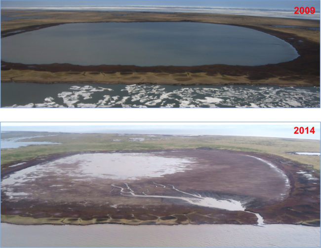 A lake on the shore of the Beaufort Sea that drained on July 5, 2014. (Image courtesy of Ben Jones)
