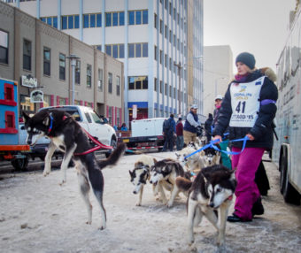 Willow musher Lisbet Norris prepares for the 2015 Iditarod ceremonial start. (Photo by Zachariah Hughes/KSKA)