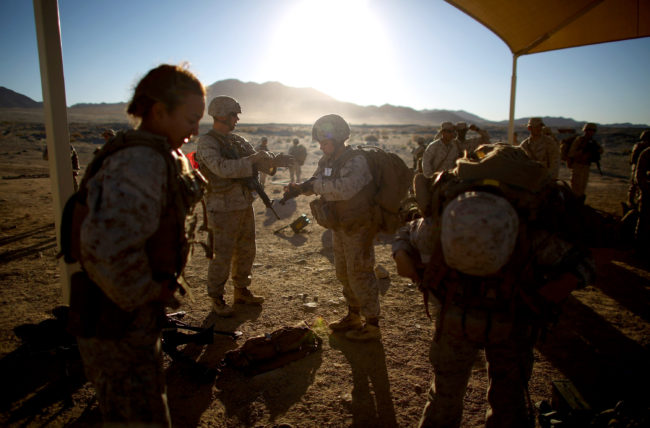 Female and male Marines prepare for a live-fire exercise at Twentynine Palms, a training camp in the Mojave desert. David Gilkey/NPR