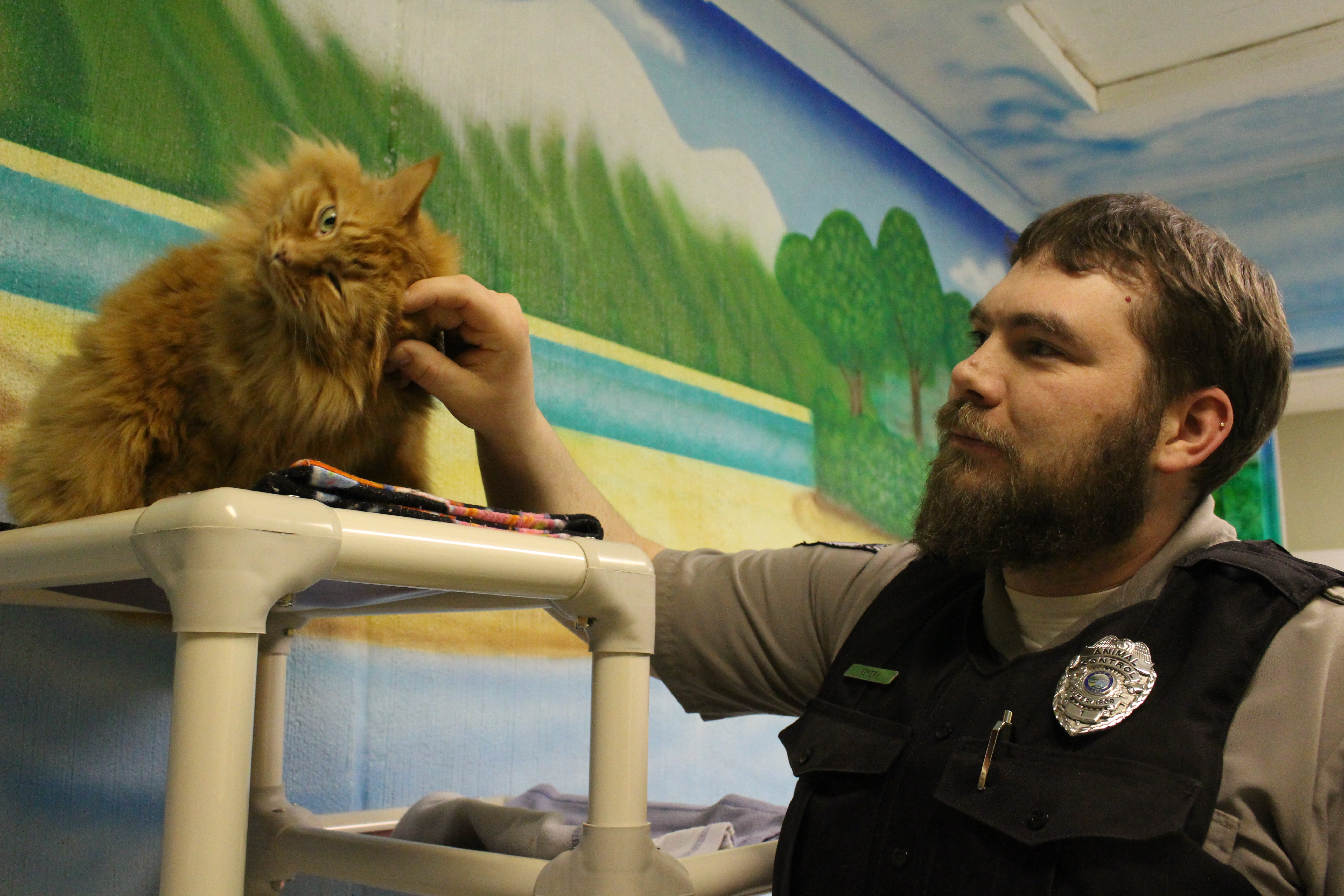 Prosecutors won't charge Juneau man who tried to euthanize his cat in  shelter parking lot