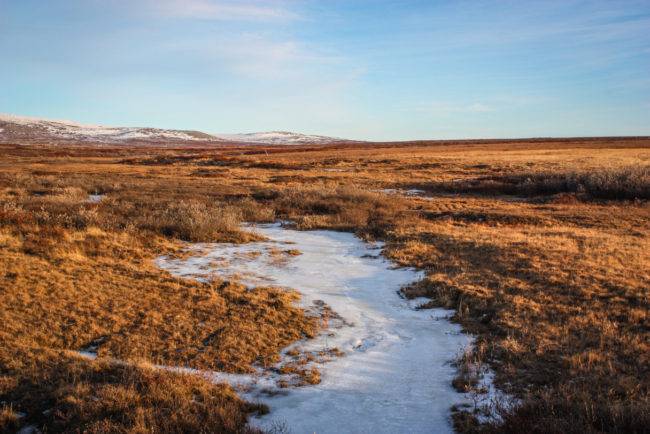 Upper Dry Creek, an area many residents utilize for recreation, could also be developed in Nome Gold’s placer mining plans. (Photo by Francesca Fenzi/KNOM)