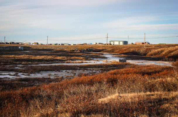 Lower Dry Creek, pictured above, could become the site of a placer mining operation as early as 2016 according to Nome Gold Alaska. (Photo by Francesca Fenzi/KNOM)