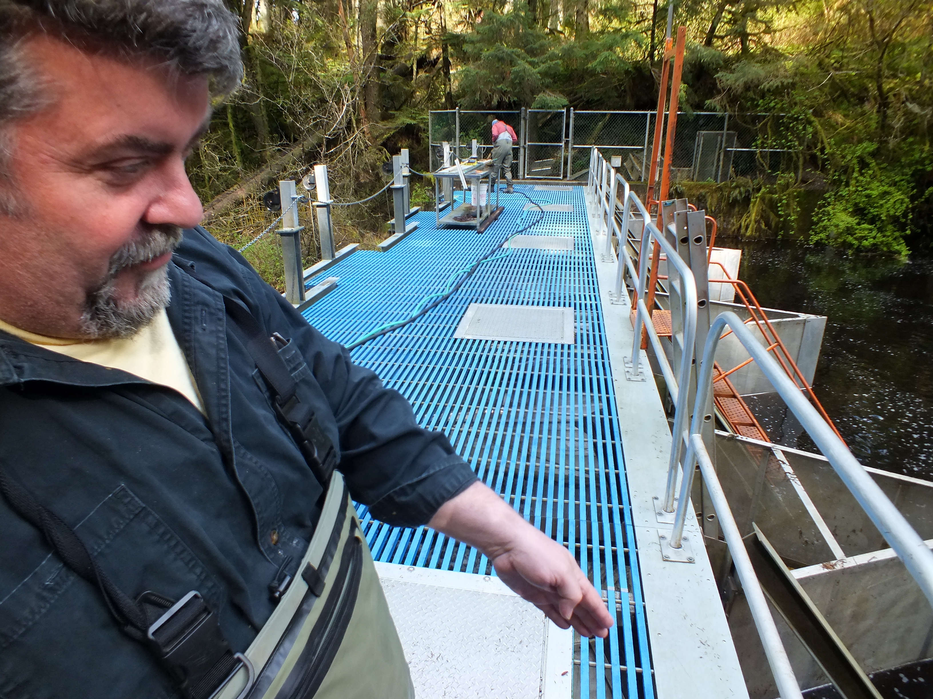 NOAA fisheries biologist John Joyce explains how different species and sizes of  out-migrating fish are routed into different tanks for hand counting at Auke Creek weir. (Photo by Matt Miller/KTOO)
