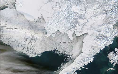 Sea ice extent during colder years (2007-12). Actual image is from May 2012. (Image courtesy NOAA Fisheries)