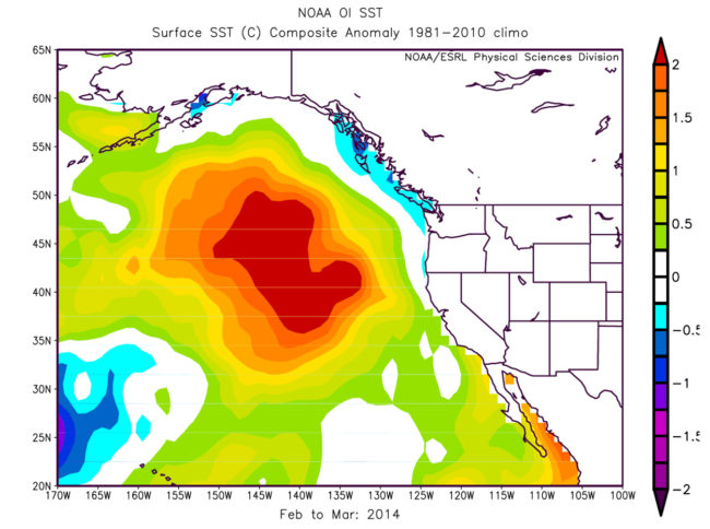 Map showing position of sea surface temperature (SST) anomaly, aka The Blob,  in the northeast Pacific Ocean in March 2014. (Image provided by the NOAA/ESRL Physical Sciences Division at Boulder, Colorado)
