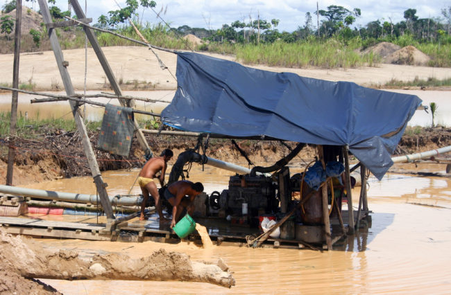 By some estimates, there are now tens of thousands of illegal miners working the eastern Peruvian province of Madre de Dios. Jason Beaubien/NPR