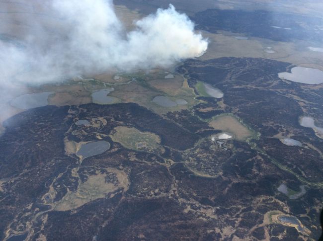 The Bogus Creek Fire burns Sunday, June 7, 2015, in the Yukon Delta National Wildlife Refuge in southwest Alaska. The 25,260-acre fire was started by lightning on May 31st. (Matt Snyder/Alaska Division of Forestry)