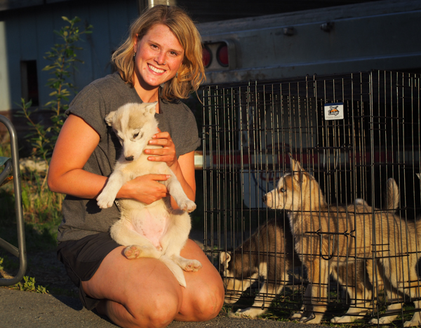 Lisbet Norris with four puppies, part of the hundred dogs her family evacuated from their Willow kennel. In total, around 400 sled dogs were brought to the lot at Underdog Feeds in Wasilla. (Photo by Zachariah Hughes, KSKA)
