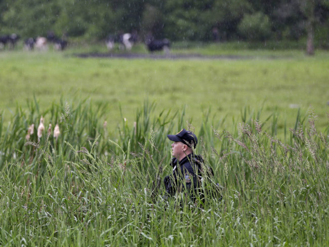 A law enforcement officer searching for escaped prisoners walks through a swampy area near Essex, N.Y. State and federal law officers are searching for two killers who used power tools to break out of a maximum-security prison. (Photo by Seth Wenig/AP)