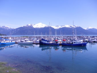 Boats docked at Haines small boat harbor. (Emily Files, KHNS)
