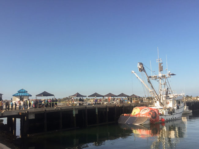 A long line of people queued up to buy Pacific bluefin for the bargain price of $2.99 per pound last Saturday at the San Diego Tuna Harbor Dockside Market (Photo by Clare Leschin-Hoar for NPR)