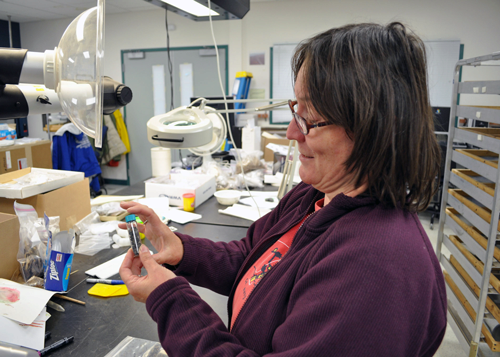 Anne Jensen examines artifacts in her lab. (Photo courtesy of Anne Jensen)