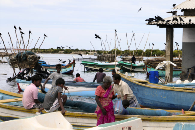 Mannar, in northern Sri Lanka, is a fishing village where ethnic Tamils live. The country's long civil war ended in 2009, but many in the village say there will not be reconciliation until there's an accounting of the thousands of Tamils who disappeared during the fighting. Julie McCarthy/NPR