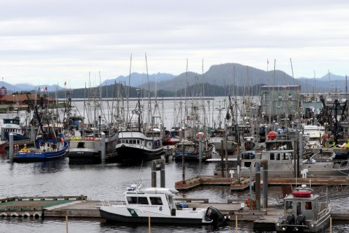 A forest of trolling poles in Sitka’s ANB harbor, July 2015. (Photo by Rachel Waldholz/KCAW)
