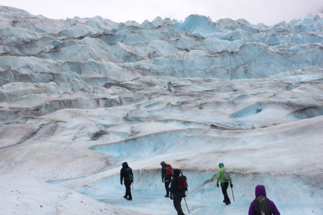 Thirteen educators participated in Discovery Southeast's Teacher Expedition on the Mendenhall Glacier. (Photo by Lisa Phu/KTOO)