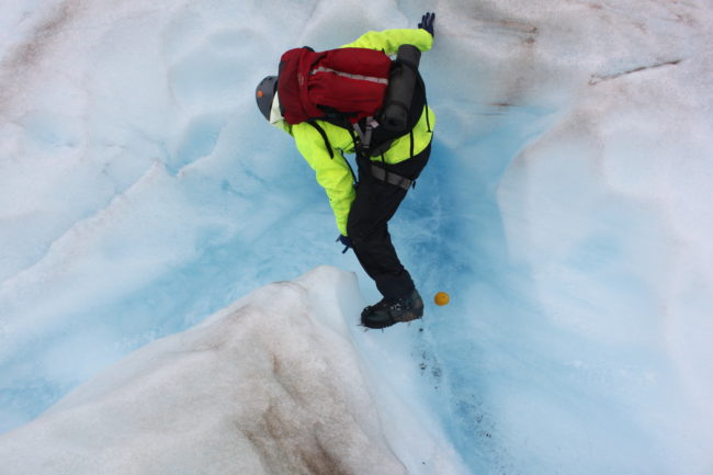 Discovery Southeast Naturalist Steve Merli drops the orange. (Photo by Lisa Phu/KTOO)