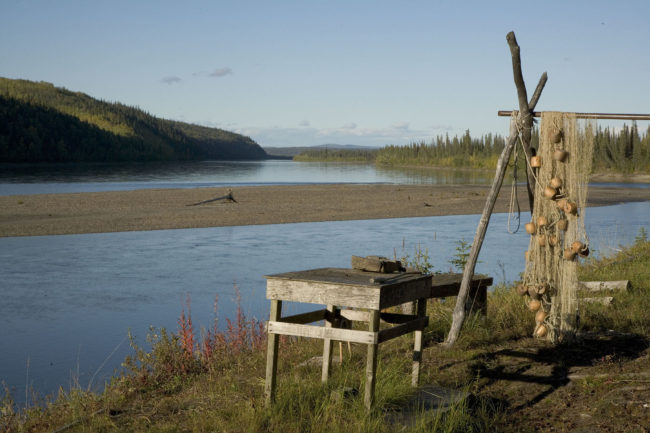 Subsistence fish camp on the Koyukuk River. (Public Domain photo by U.S. Fish and Wildlife Service)