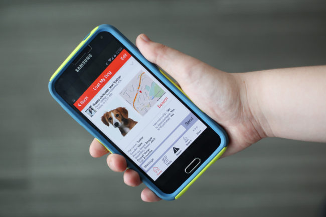 The Finding Rover app uses facial recognition technology to reunite lost dogs with their owners. Emily Bogle/NPR
