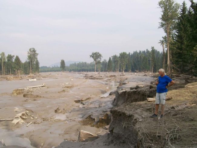 Hazeltine Creek, once a narrow waterway, is filled with mud, silt and logs following August 2014’s tailings dam breach at the nearby Mount Polley Mine. (Photo courtesy Chris Blake/MineWatch Canada).