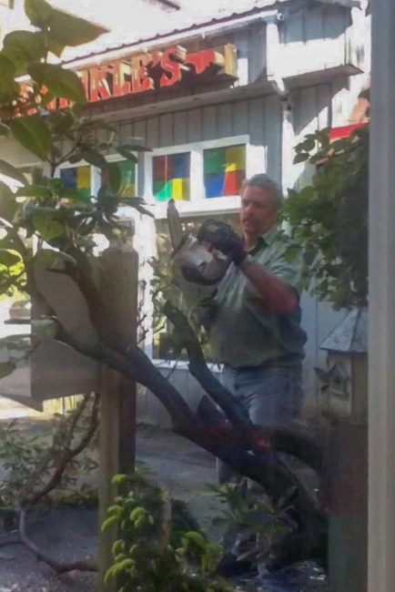 Bullwinkle's Pizza owner Mitch Falk cuts down Twilight Cafe's tree. (Photo courtesy Ariel Cristobal)