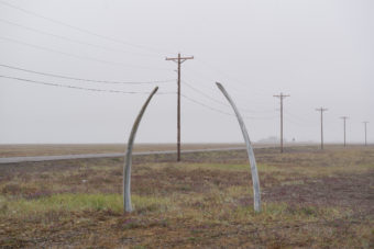 Whalebones welcome visitors to Point Hope. (Photo by Mitch Borden/KNOM)
