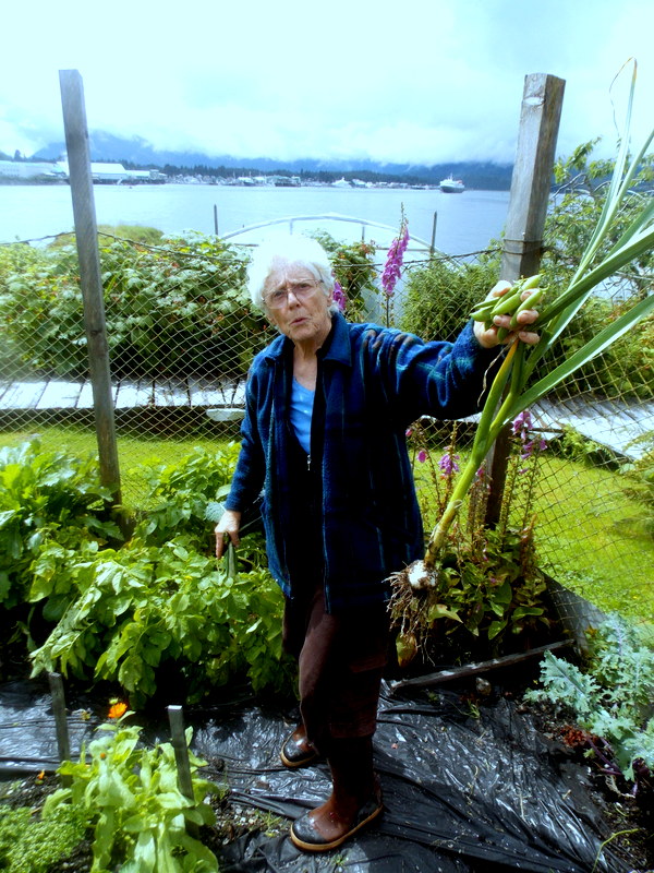 Sharon Sprague picks vegetables in her garden on Sasby Island. (Photo by Joe Sykes/KFSK)