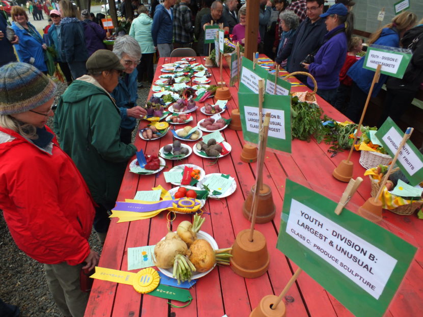 Award-winning vegetables at the 2015 Harvest Fair at the Juneau Community Garden on Montana Creek Road.