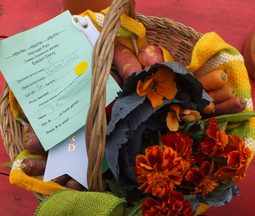An award-winning basket from the Johnson Youth Center at the 2015 Harvest Fair.