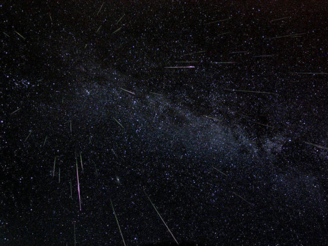Fifty-one Perseid meteors were captured in this composite image of 30-second exposures taken over six hours in 2004. The annual Perseid meteor shower is one of the most visible to the human eye. Fred Bruenjes/NASA