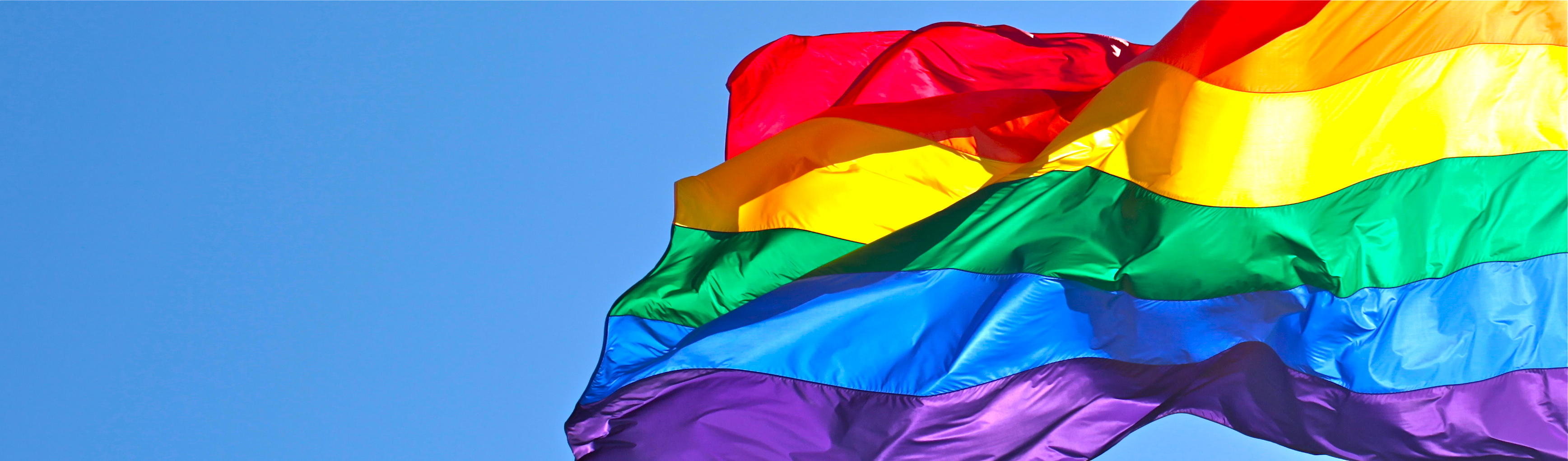 The Rainbow Flag is a symbol of LGBT pride. 