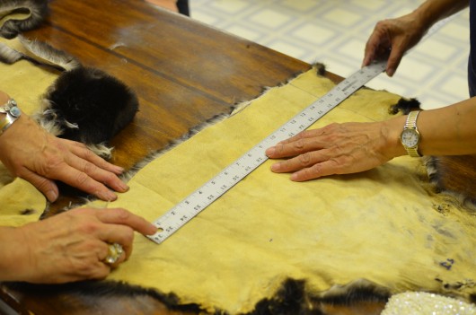 During a sea otter sewing class students measure and cut pieces of hide. (Photo by Ruth Eddy/KRBD)