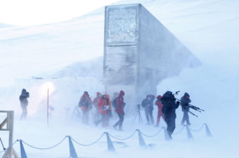 The Svalbard Global Seed Vault was opened on Feb. 26, 2008. Carved into the Arctic permafrost and filled with samples of the world's most important seeds, it's a Noah's Ark of food crops to be used in the event of a global catastrophe. AFP/Getty Images